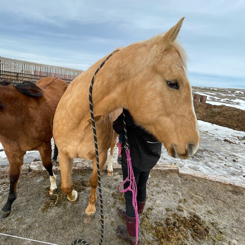 Meet your Posher, Taylor